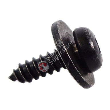 Screw-Torx