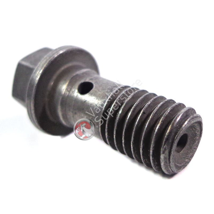 Hollow Screw