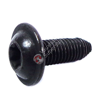 Screw, Oval Head