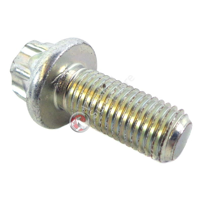 Screw-Torx