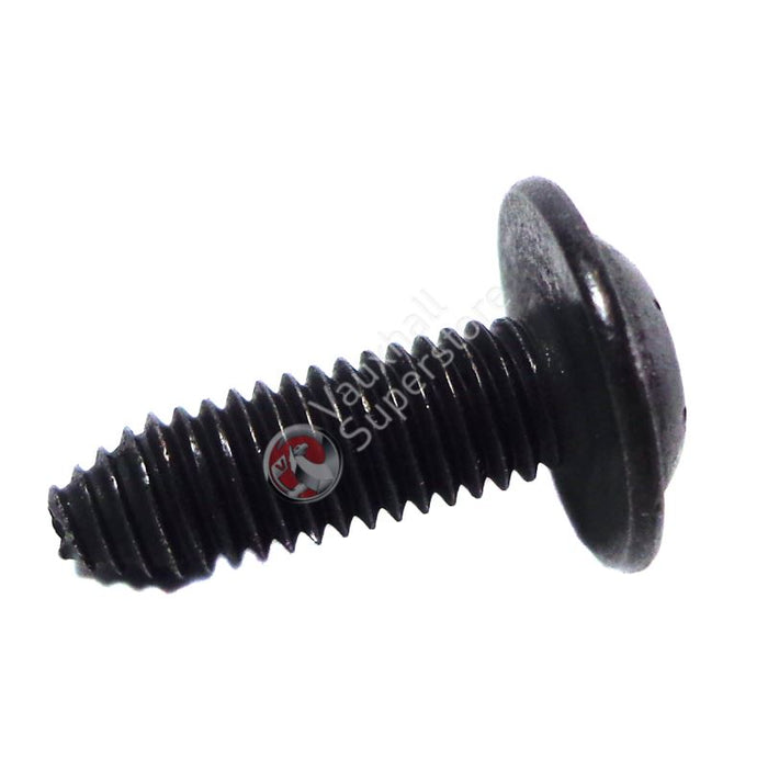 Screw, Oval Head