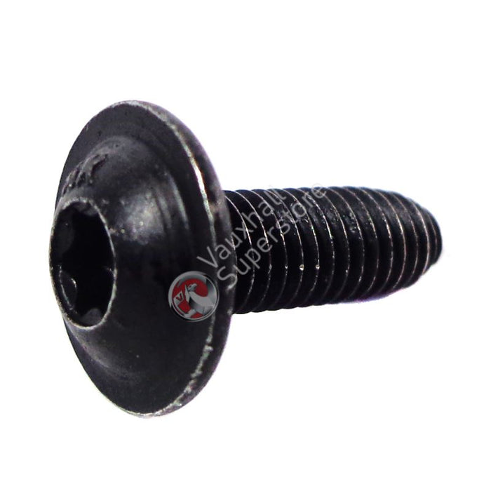 Screw-Oval Head Shee