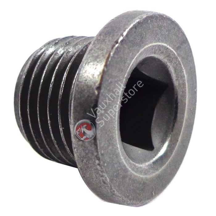 Screw Plug