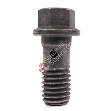 Hollow Screw