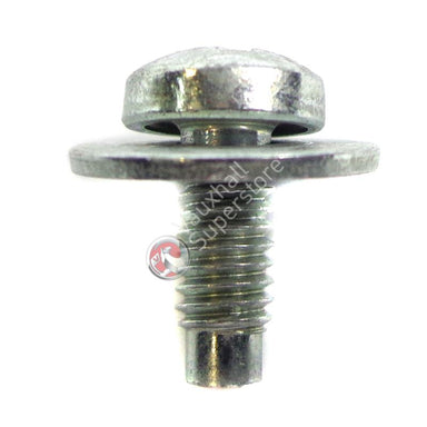 Screw-Oval Head Shee