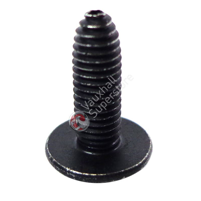 Screw-Oval Head Shee