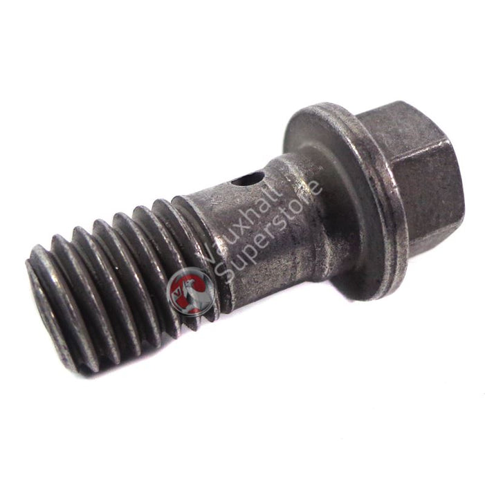 Hollow Screw