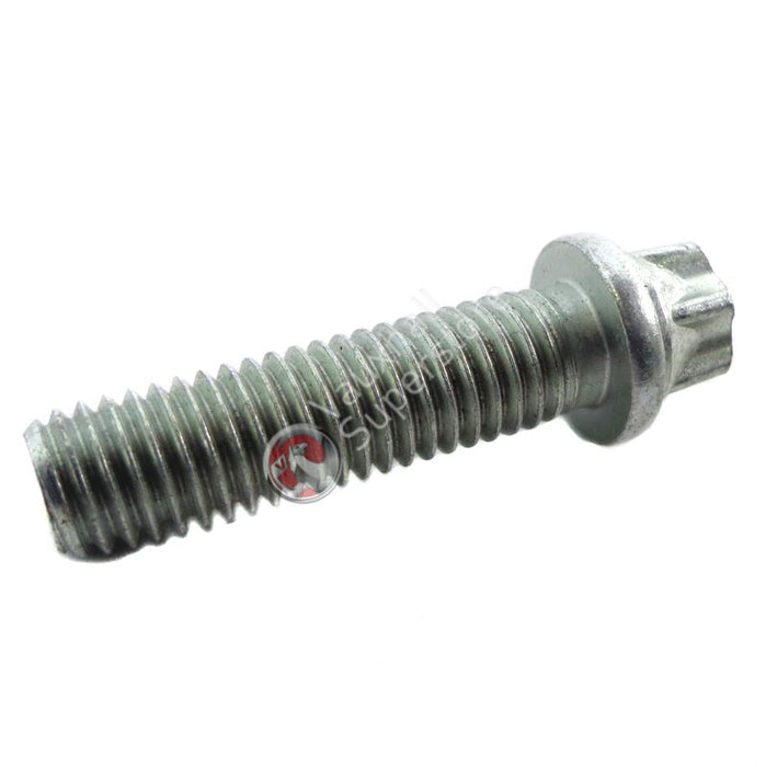 Screw-Torx