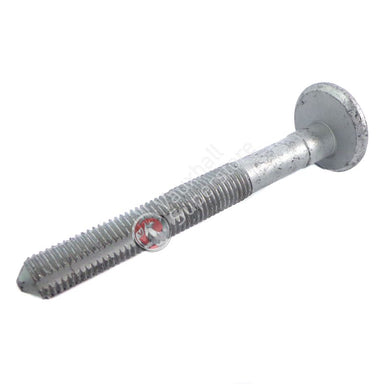 Screw With Washer