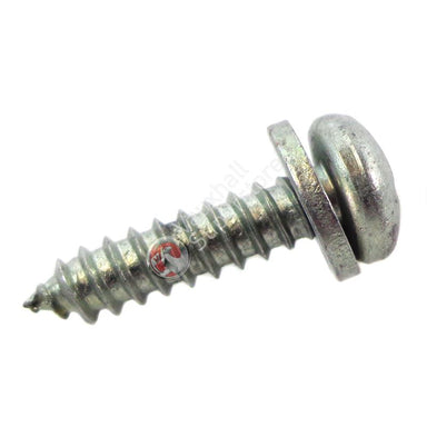 Screw-Oval Head Shee