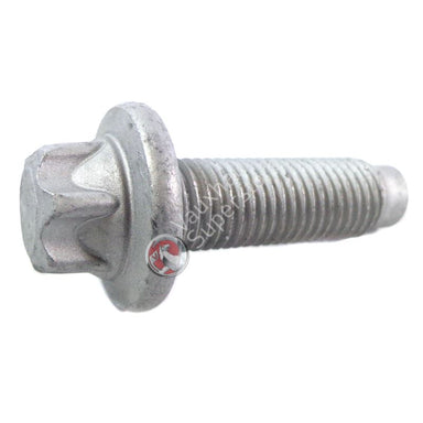 Screw-Torx