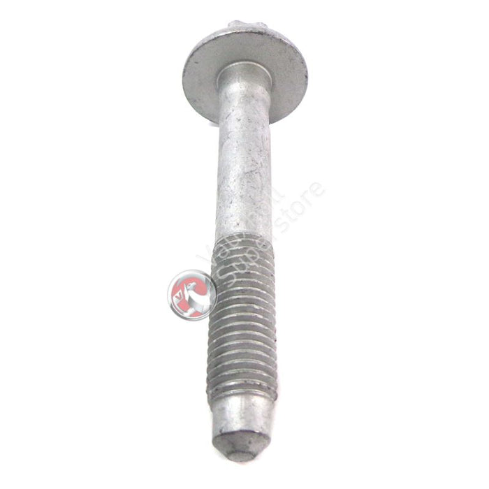 Screw-Torx