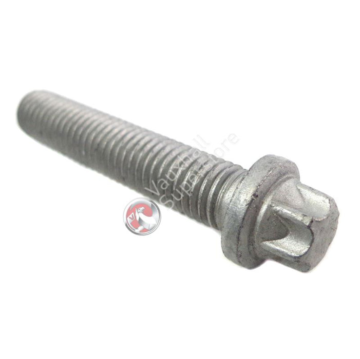 Screw-Torx