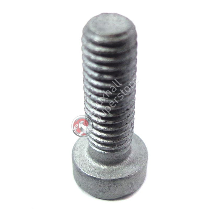 Screw-Torx